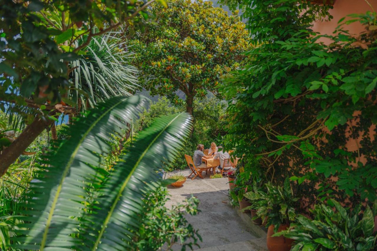Madeira Surf Lodge เซาวิเซนเจ ภายนอก รูปภาพ