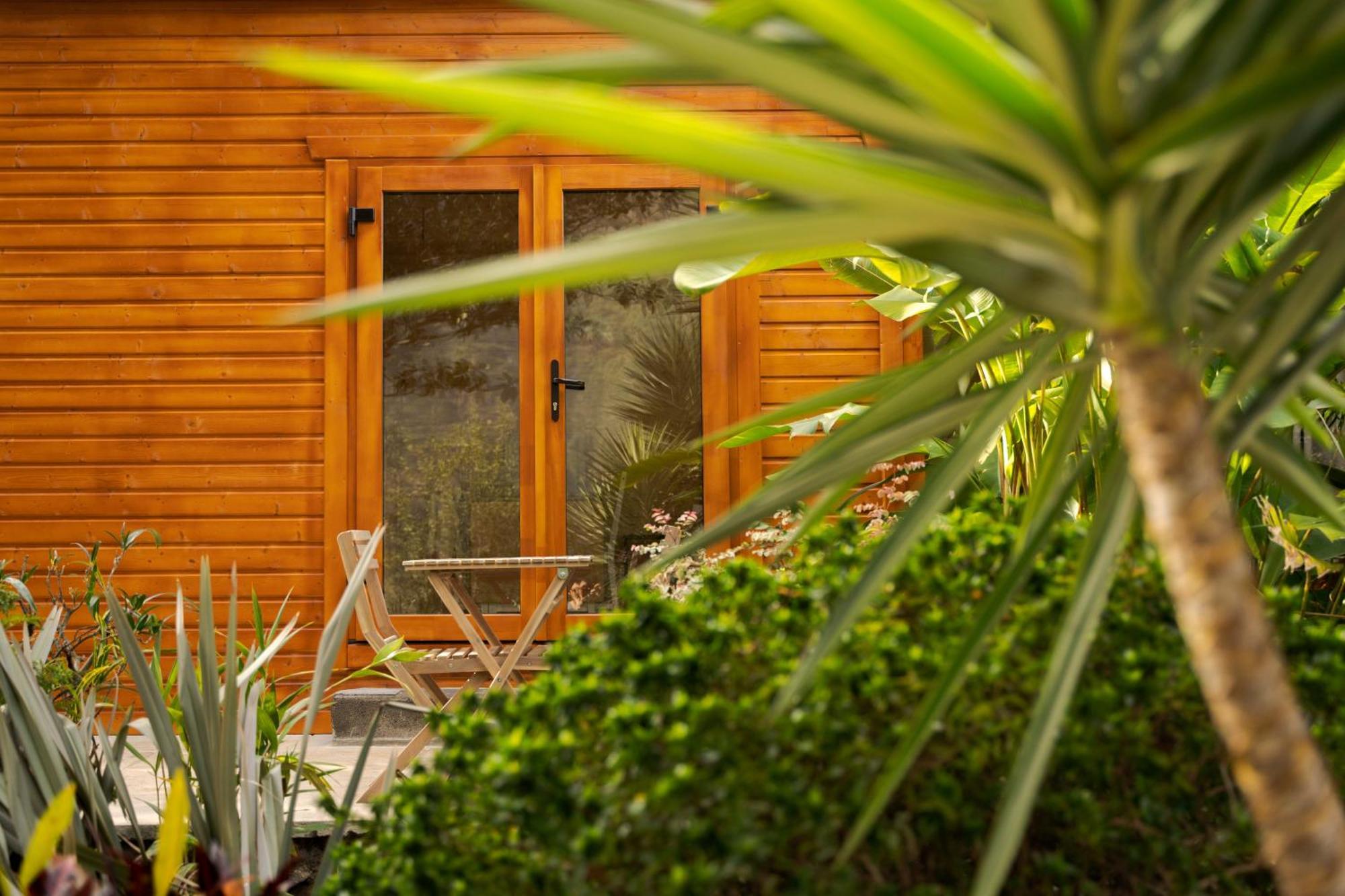 Madeira Surf Lodge เซาวิเซนเจ ภายนอก รูปภาพ