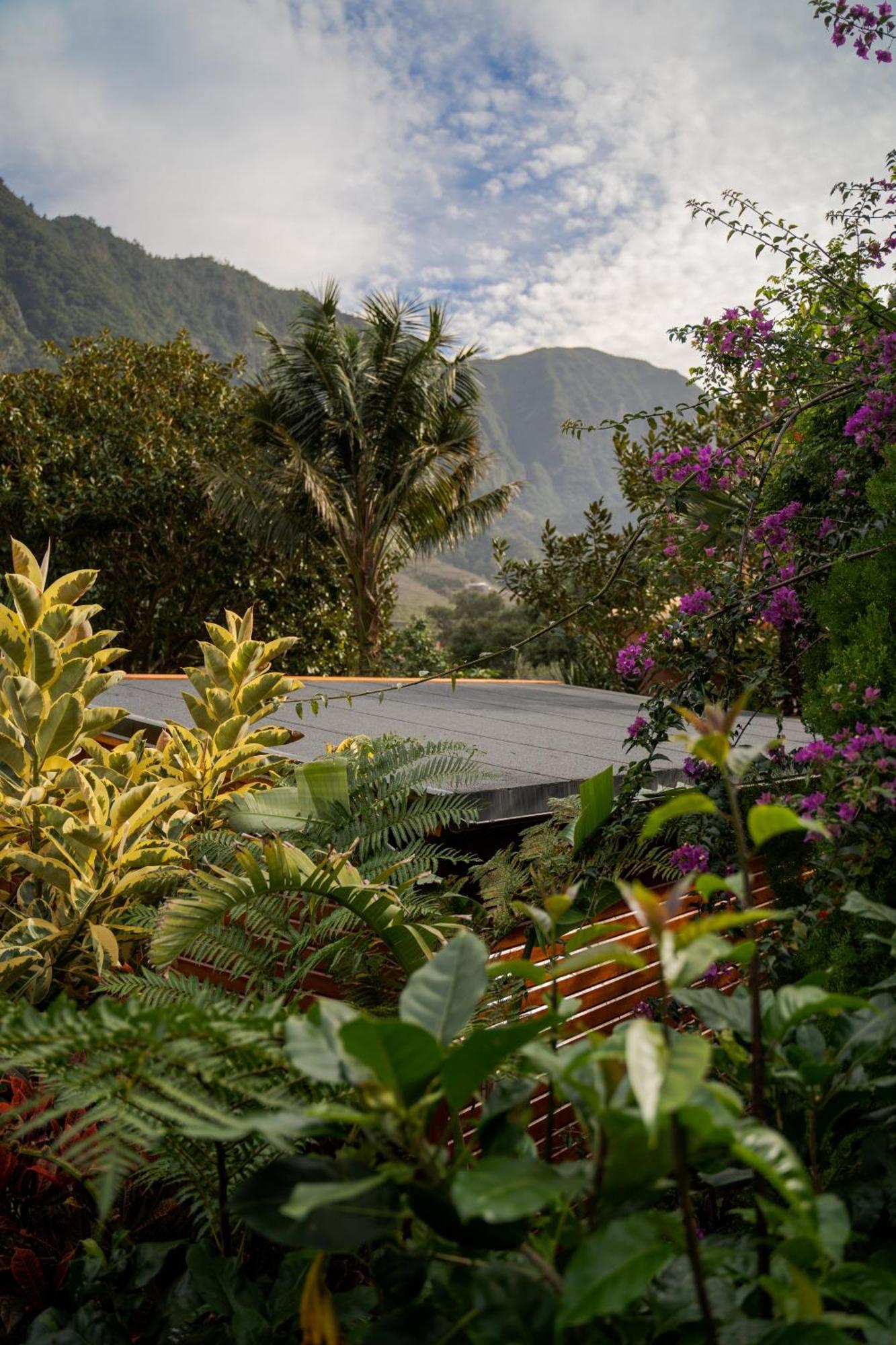 Madeira Surf Lodge เซาวิเซนเจ ภายนอก รูปภาพ